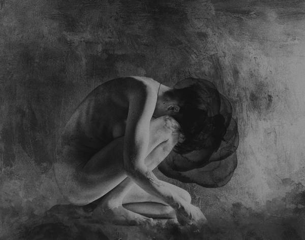 Photograph Anna Bodnar Solitude on One Eyeland